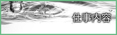 仕事内容
